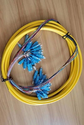 24 Core SC/UPC cordone di patch pre-terminato con vassoio di installazione massimo numero 1 vassoio di fusione